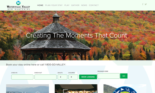 Website Design and Management